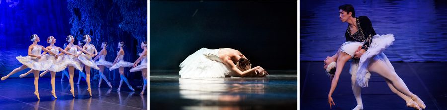 A collage of images from the Swan Lake ballet