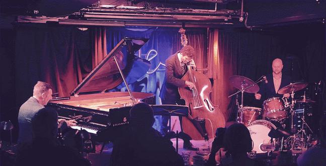 A group of musicians on a small stage lit with blue and pink light. There is a man playing a grand piano, a cellist and a man on drums