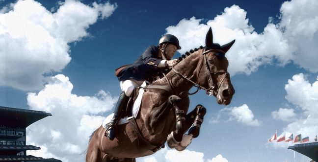 A jockey rides a brown horse which is jumping in mid-air