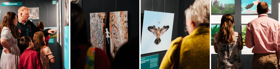 A collage of images of an exhibition