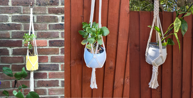 three plants in pots, hanging from white Macramé plant holders on a wooden fence and brick wall.