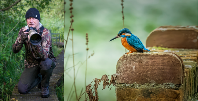 A man with a large camera crouches in the grass. A close-up photo of a kingfisher