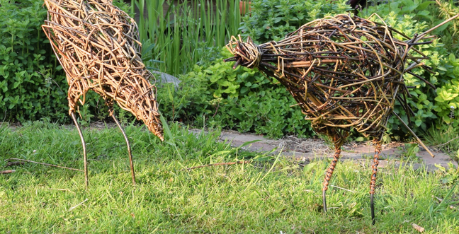 Willow chickens on green grass